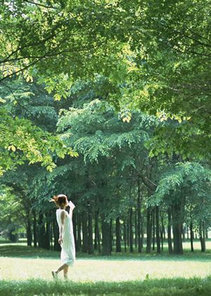 東横イン東広島駅前:アクセス便利・快適なビジネスホテルの魅力と特徴