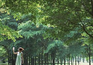 福島駅から徒歩3分の快適ビジネスホテル【東横INN福島駅東口1】の魅力と詳しい情報