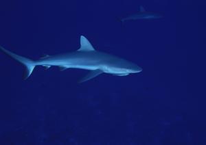 北見市で快適な滞在を提供する【東横INN北見駅前】の魅力と詳細情報