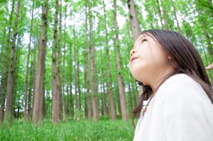 住友不動産ホテルの魅力と特徴:京都ヴィラージュの魅力的な宿泊体験を徹底解説