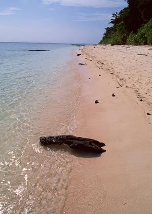 滋賀県草津市の宿泊に最適!東横INN琵琶湖線南草津駅西口の魅力と詳細情報