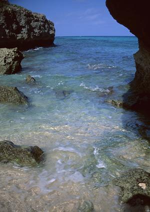 東横INN埼玉戸田公園駅西口:快適さと便利さを追求したビジネスホテルの魅力