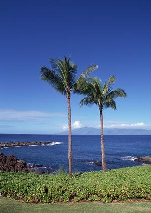 金沢市の快適なビジネスホテル:東横INN金沢兼六園香林坊の全魅力と最新情報