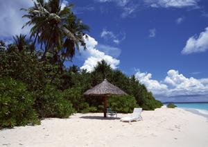 横手駅前温泉と季節の食事が楽しめる?【横手駅前温泉ゆうゆうプラザ&ホテルプラザ迎賓】の魅力ガイド