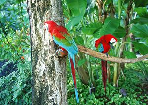松本駅前のビジネスホテル【東横INN松本駅前本町】詳細と魅力ポイント