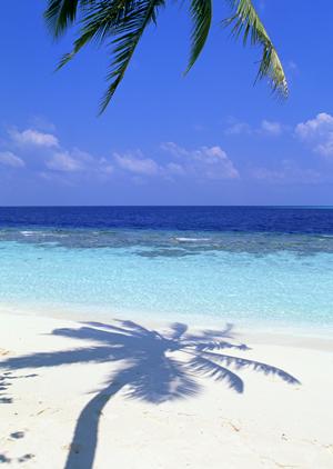 北海道網走市に位置するビジネスホテル「東横INNオホーツク・網走駅前」の詳細ガイド