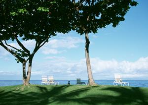 【公式情報】東横INN印旛日本医大駅前|千葉県印西市の便利なビジネスホテル