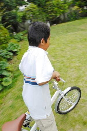 最新2026年版 鹿児島市でクレーンゲームを楽しむための完全攻略ガイド